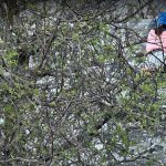uxia carreira bautismo de escalada vigo